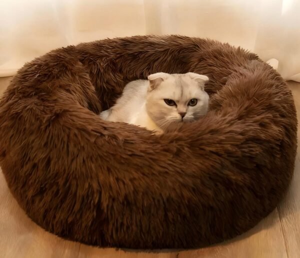 rabbitgoo Cat Beds for Indoor Cats, 20 inches Cat Bed Machine Washable, Fluffy Round Pet Bed Non-Slip, Calming Soft Plush Donut Cuddler Cushion Self Warming for Small Dogs Kittens