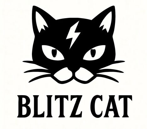 blitzcat.shop