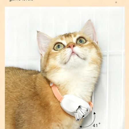 {"ARInfo":{"IsUseAR":false},"Version":"1.0.0","MakeupInfo":{"IsUseMakeup":false},"FaceliftInfo":{"IsChangeEyeLift":false,"IsChangeFacelift":false,"IsChangePostureLift":false,"IsChangeNose":false,"IsChangeFaceChin":false,"IsChangeMouth":false,"IsChangeThinFace":false},"BeautyInfo":{"SwitchMedicatedAcne":false,"IsAIBeauty":false,"IsBrightEyes":false,"IsSharpen":false,"IsOldBeauty":false,"IsReduceBlackEyes":false},"HandlerInfo":{"AppName":2},"FilterInfo":{"IsUseFilter":false}}